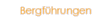 Bergführungen
